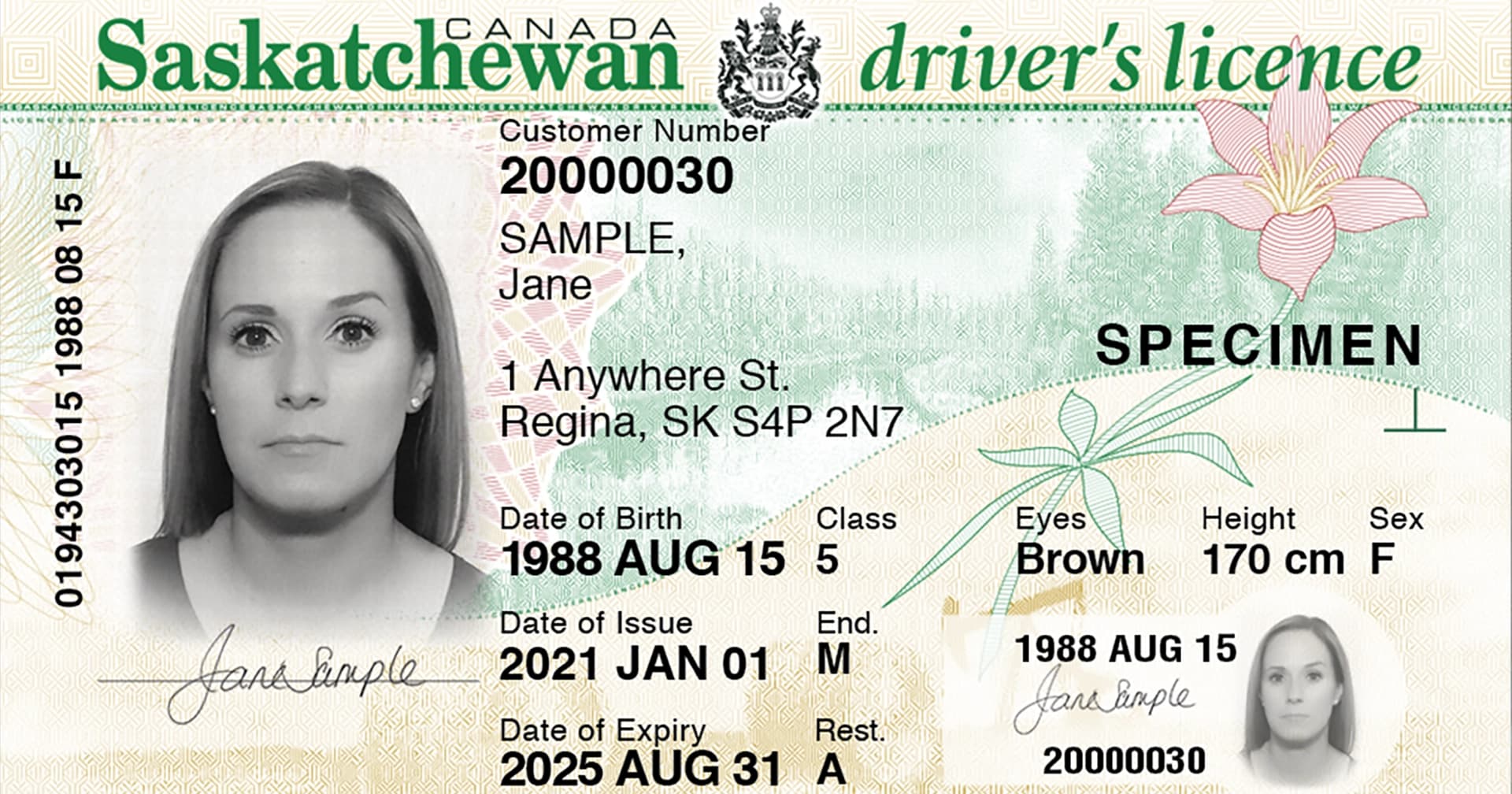 Saskatchewan Driver's Licence