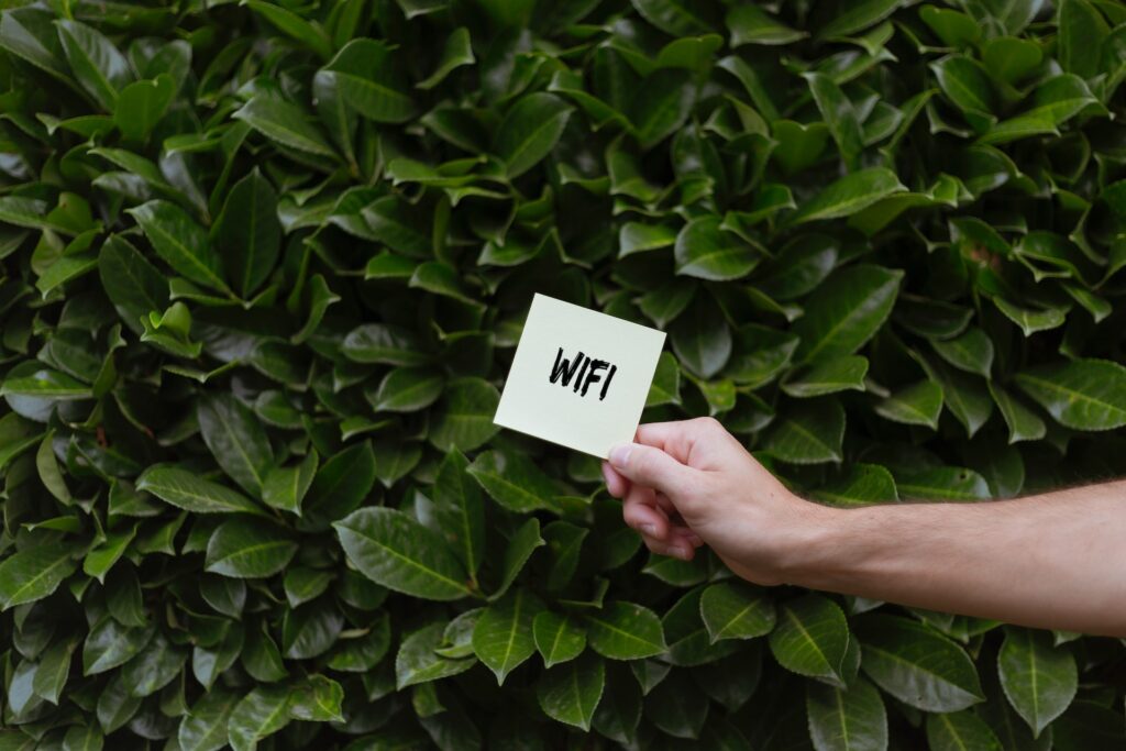 WiFi Label on Leaves