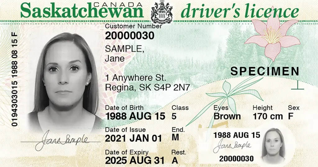 Saskatchewan Driver Licence